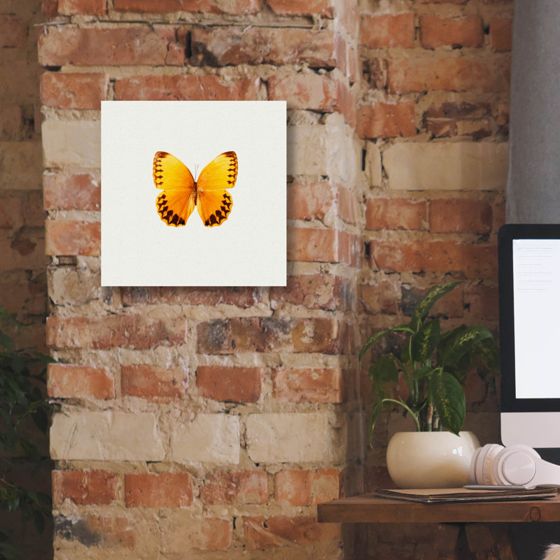 «Yellow Butterfly 2» par PhotoINC Studio, H 12 po x l 12 po x P 0,75 po