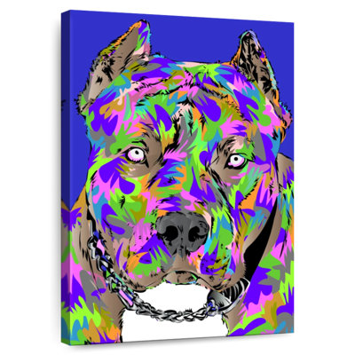 Brampt Pitbull 2022