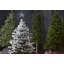 Arbre de Noël pin alpin-187167537
