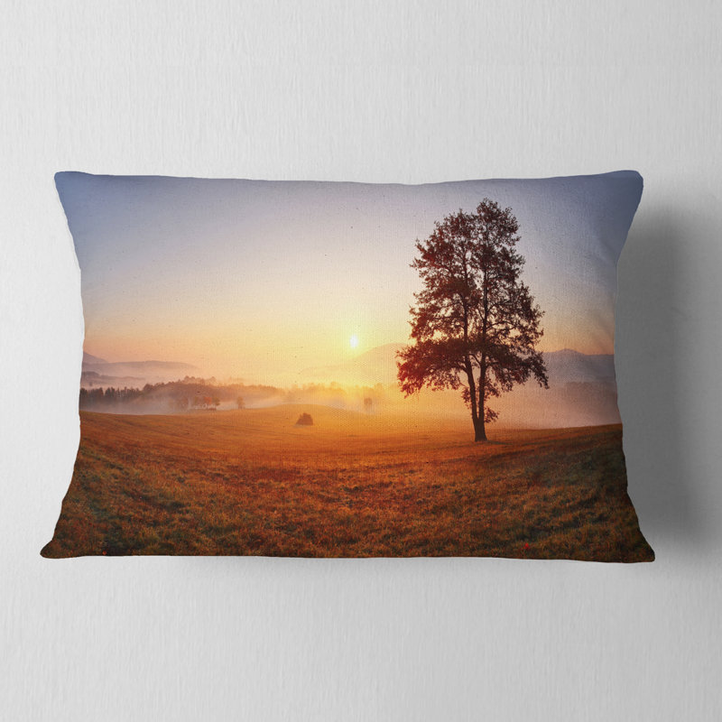 Coussin Lonely Tree at Sunset