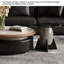 Tempered Glass Top Coffee Table