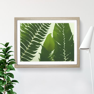Contoured Fern Leaf - Framed Print