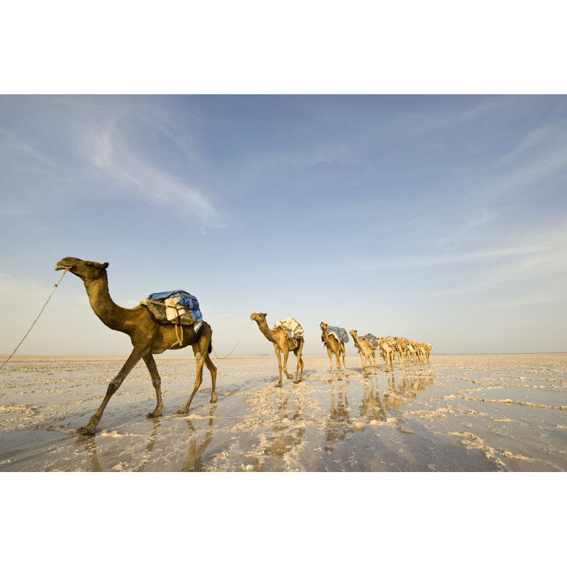 One Of The Last Salt Caravans by Guenterguni - Wrapped Canvas Print, 61cm H x 91cm W