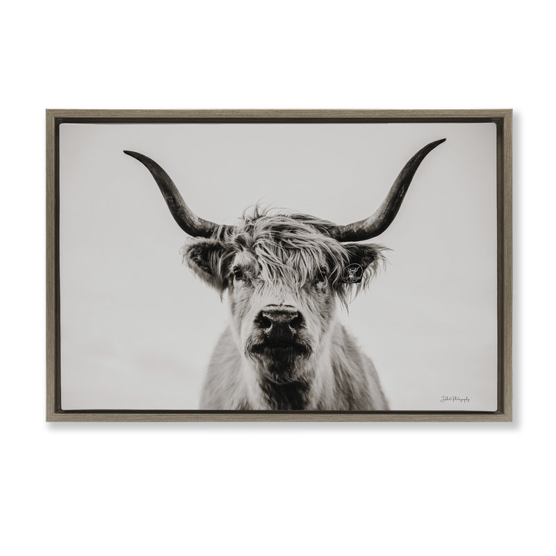 Calm bovins, toile par Dakota Diener, Cadre flottant orme Montalcino, H 21 po x l 31 po x P 1,7 po