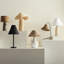 Sylvia Iron Desk Lamp