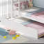 Adger Single (3') Bunk Bed with Trundle Included