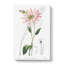 Pink Coneflowers - Wrapped Canvas-55325552