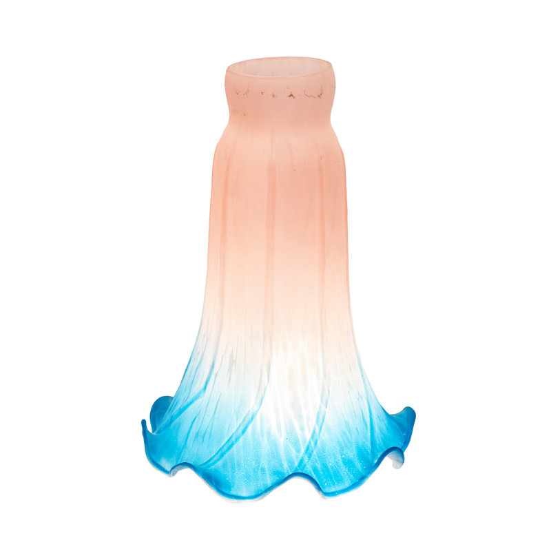 Novelty Lamp Shade