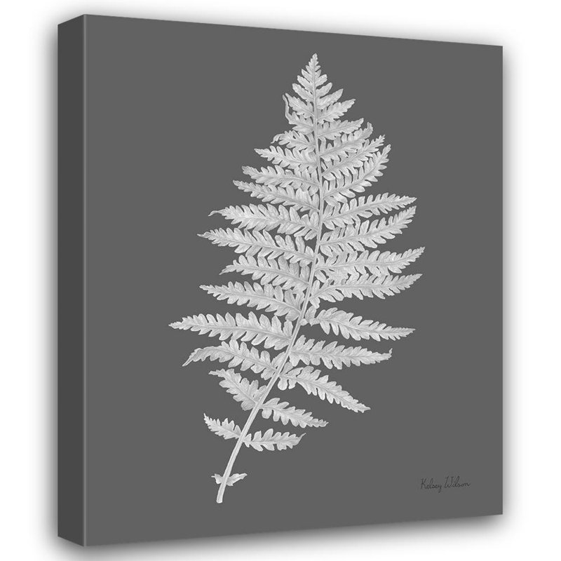 «Lark Manor ™», art sur toile de la galerie Kelsey Wilson: Neutral Fern on grey II, H 45 po x l 36 po