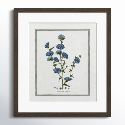 Colombe "Soft Botanical I" Print