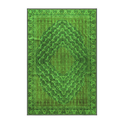 Washable Paisley Indoor Rug