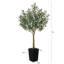 Adcock UV Resistant Artificial Olive Tree for Indoor & Outdoor Decor, Large Plastic Base with Pebbles-1033404747-1033404745
