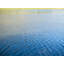 Riverside_4058 Print by Petra Trimmel-71201107-132511432