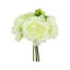 Peony Stems-1443977843