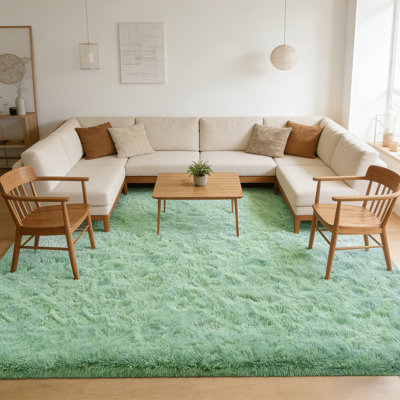 Sage Green Shag Area Rug For Living Room, Mint Green Soft Plush Shaggy Rug For Bedroom, Upgrade Non Slip Backing,  Spring Decor for Room Use, Ideal For High Traffic Areas Indoor