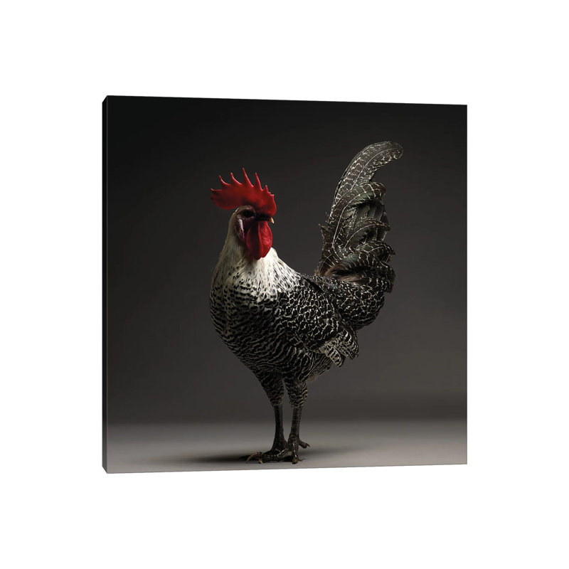 Campine - Wrapped Canvas Print, 45.72 cm H x 45.72 cm W x 1.91 cm D