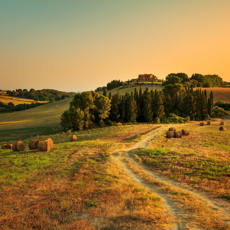 Caramont Tuscany Farmland - Wrapped Canvas Print, 30cm H x 30cm W x 3.8cm D