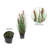 Artificial Straight Grass and Cattails-22996683