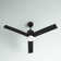 Newsom 52" 3-Blade LED Ceiling Fan with Light Kit and Remote Control