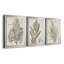 «Sepia Exotic Plants I», ensemble de 3 peintures sur toile encadrées-1945089280-1945089281