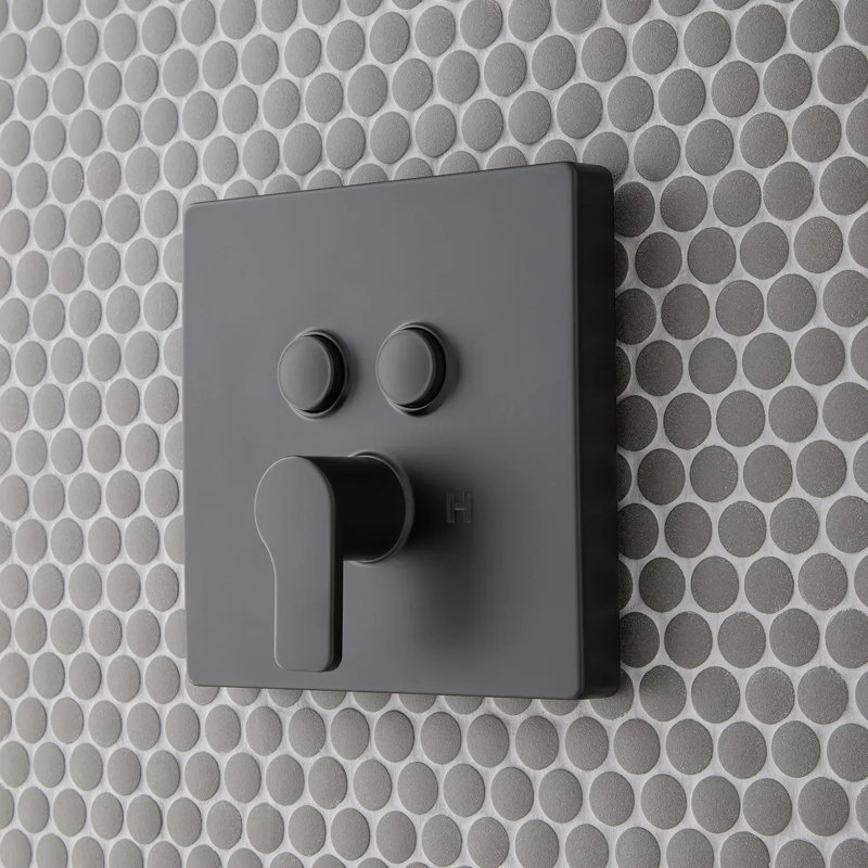 Garniture de douche à pression équilibrée Signature Hardware Hibiscus, Noir mat