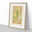 Leaf Illustration by Benjamin Fawcett - Picture Frame Painting Print-55777967-55777964