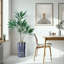 66 plantes-97701530