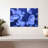 Sea Jellies-107704612