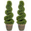 90cm Plant-135374446