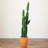 41in. Artificial Cactus in Terracotta Planter-1396300893