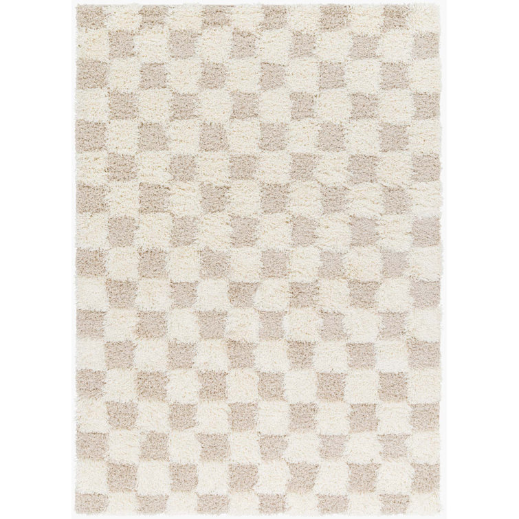 Atiran Checkered Shag Beige Area Rug