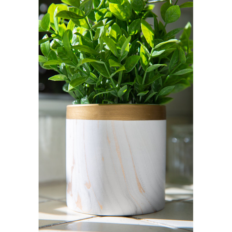 11'' Faux Tea Leaf Plant in Ceramic Planter
