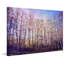 Forest Of Trees by Sylvia Cook - Print on Canvas-311437902-311437910