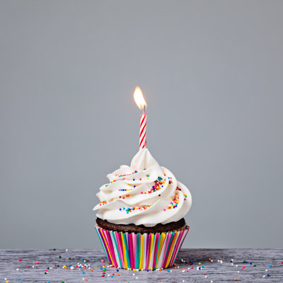 Birthday Cupcake - Wrapped Canvas Print