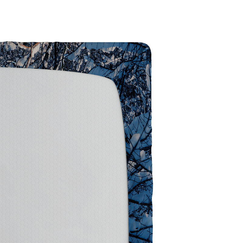 Ensemble de 2 draps-housse Ambesonne Winter, Drap-housse de taille simple