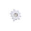 «Compactum Succulent», art mural-64430351