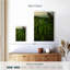 Gillard Mossy Vietnam Gillard-108397239