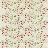 Chinese Lantern Fabric