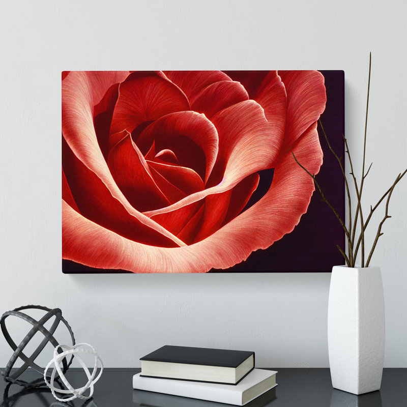 Bewitching Rose Flower - Wrapped Canvas, 40cm H x 60cm W x 3cm D