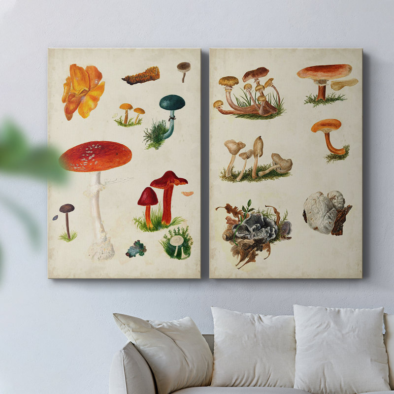 Toile tendue avec champignon Mushroom Species VIII-Premium - Prêt à être accroché, H 36 po x l 48 po