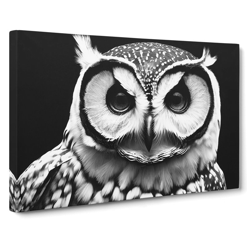 Owl Portrait Monochrome Vol.3 - Wrapped Canvas, 35cm H x 50cm W x 3cm D
