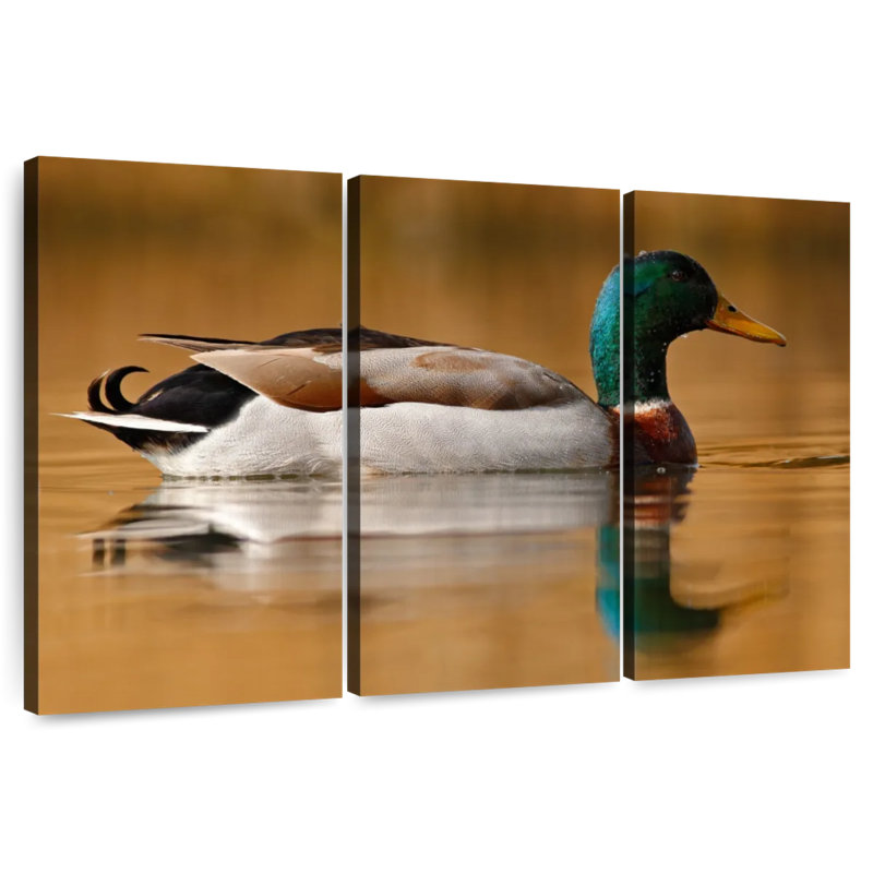 Brampt Bathing Mallard Duck, 28" H x 45" W