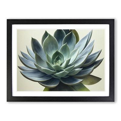 Watercolour Succulent Plant Vol.4 - Single Picture Frame Print