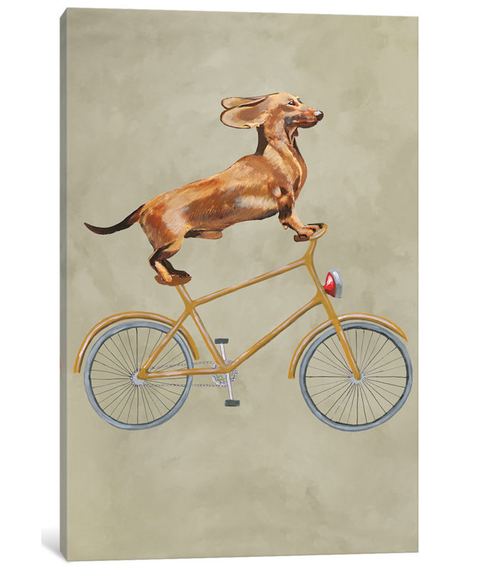 « teckel on bicycle i », reproduction d’art sur toile, H 12 po x l 8 po x P 0,75 po, Toile tendue, Pas de tapis