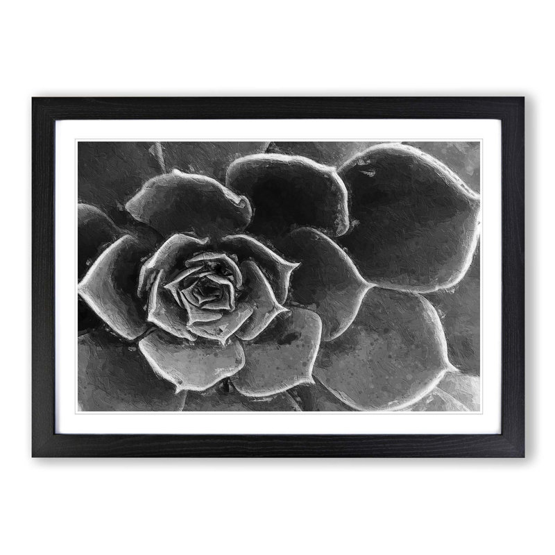 Succulent Plant - Picture Frame Painting Print, Black Framed, 27cm H x 36cm W x 2cm D