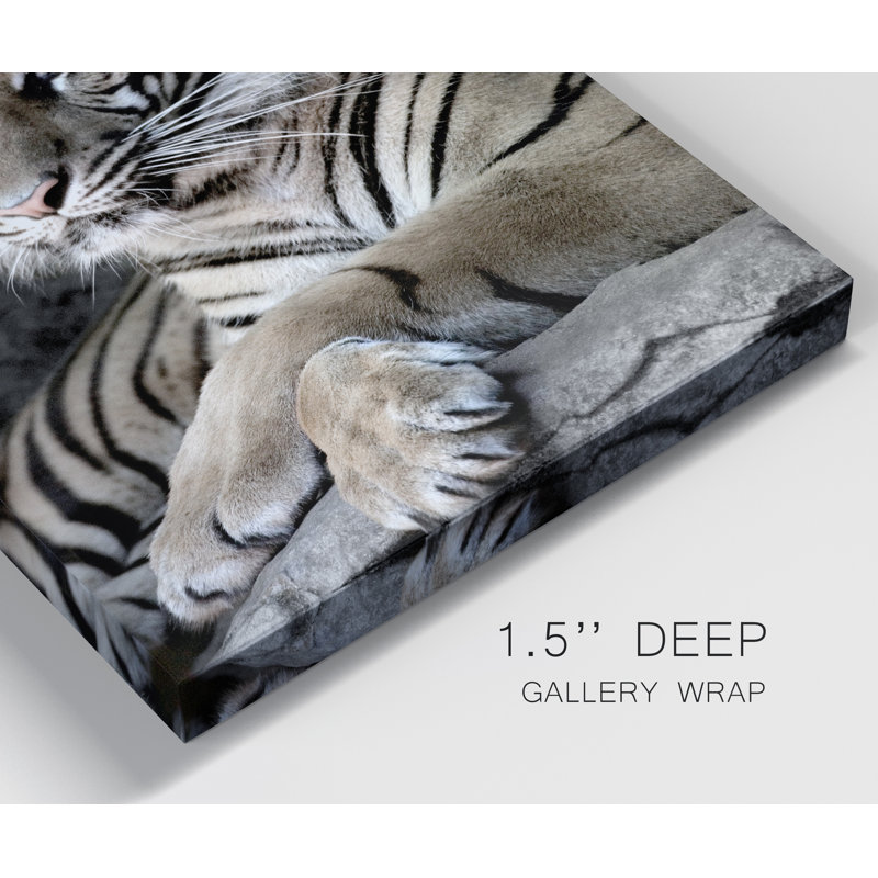 Tigre de Sumatra - reproduction de photo sur toile tendue, H 27 po x l 18 po x P 1 po