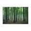 No Frame Print on Canvas