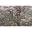 Suruchi One-of-a-Kind 10' X 14' Area Rug