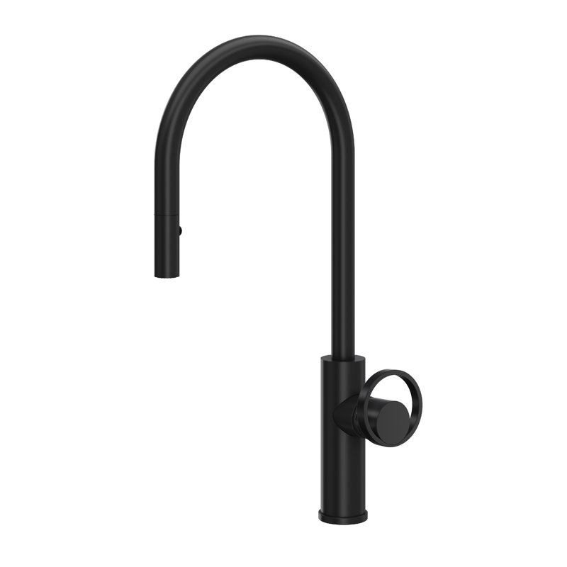 Eclissi™ Pull-Down Single Handle Kitchen Faucet with Accessories, Matte Black