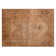 Washable Oriental Indoor / Outdoor Rug